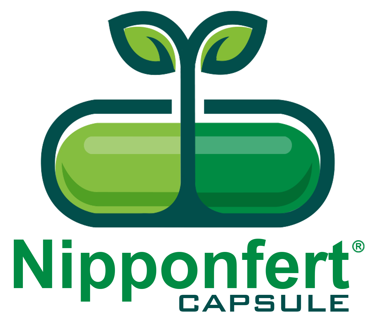 nipponfert3
